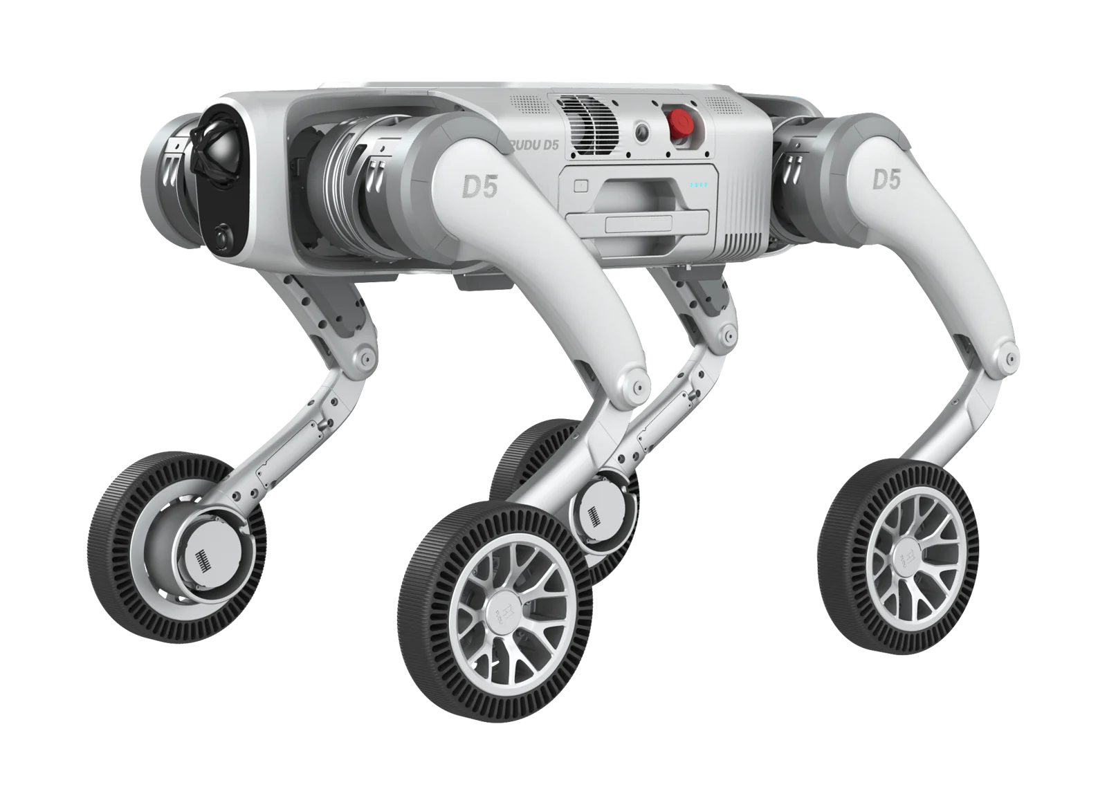 PUDU D5-W